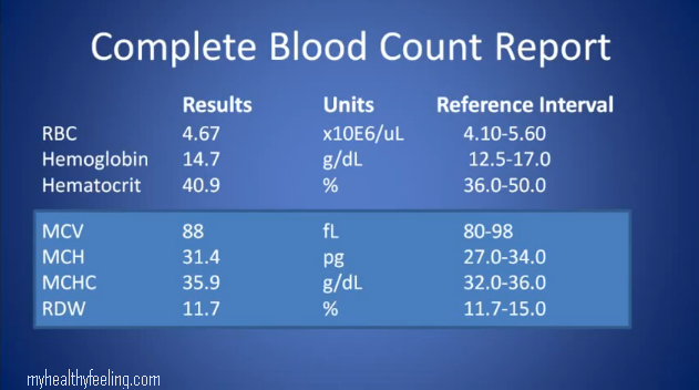 Complete Blood Count How To Interpret Blood Test Results